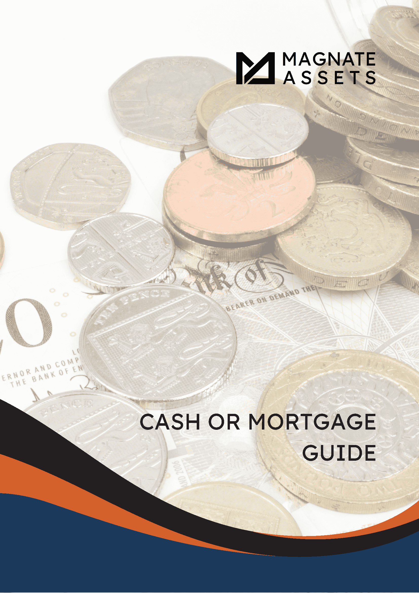 Cash or Mortgage Guide